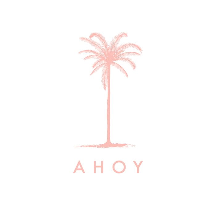 Ahoy Trader
